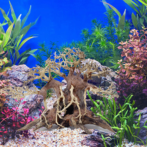 Aquarium drift wood bonsai tree aquascape landscaping decor fish fank plants