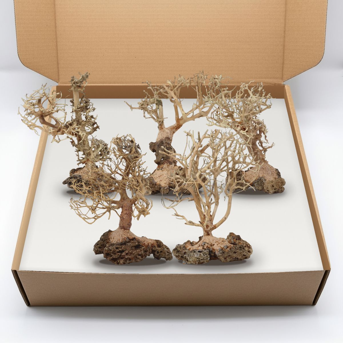 Composite example of real bonsai-style driftwood trees arranged in a kraft box. Not a photo of a specific order.