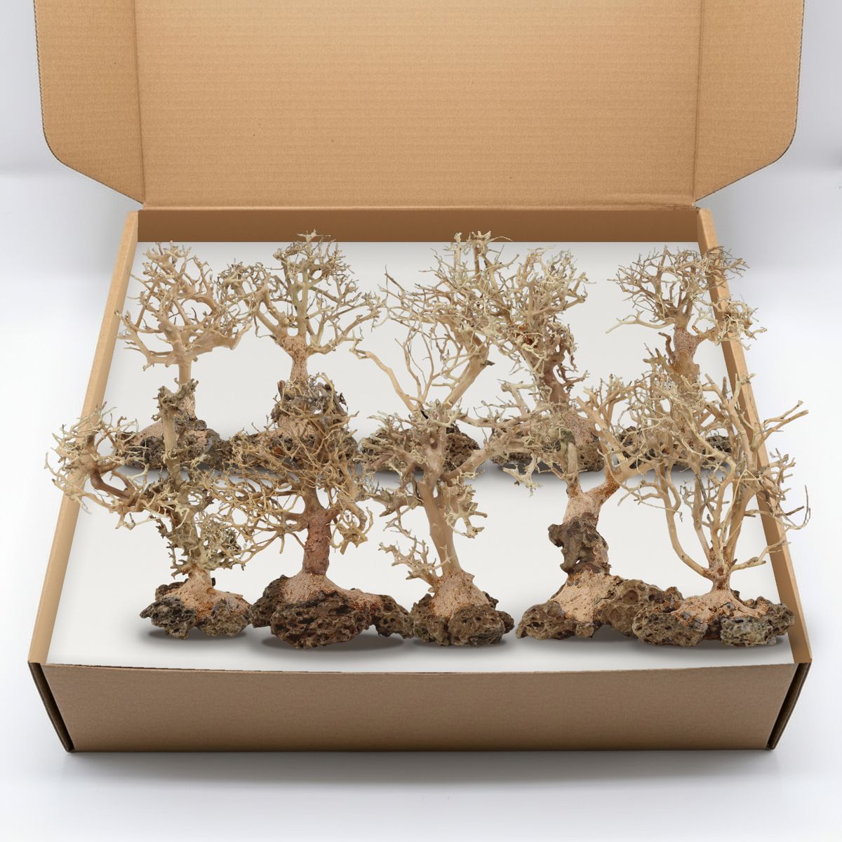 Composite image of a mix of real bonsai-style driftwood trees in a kraft box, showing how shapes vary. Example only.