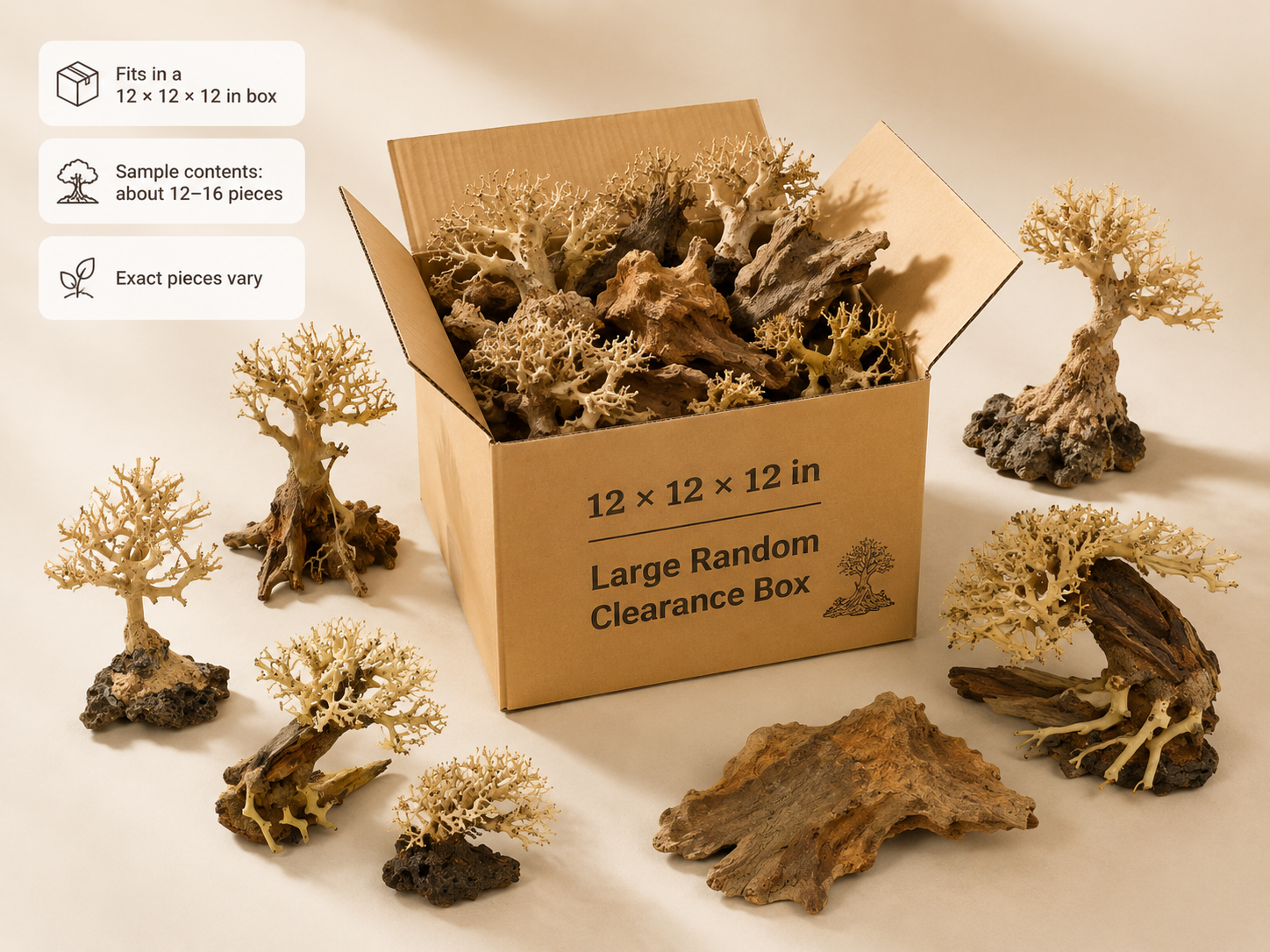 Sample Large Random Clearance Box